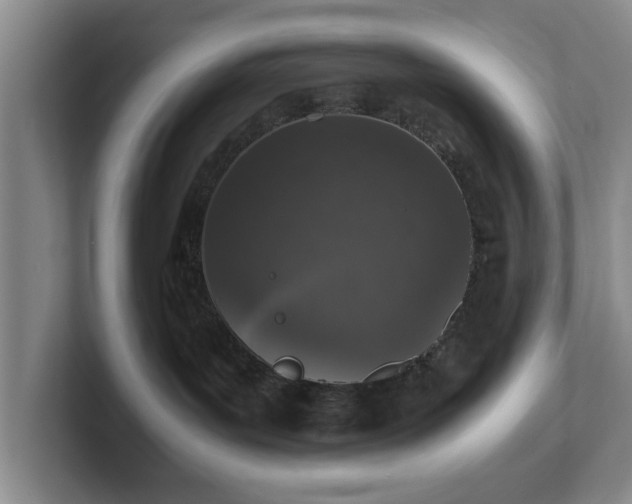 X0000102520143200808151541