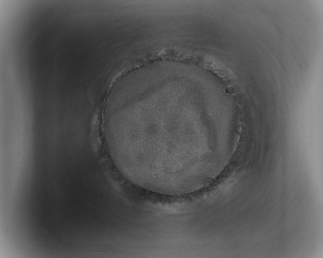 X0000102520144200808151541