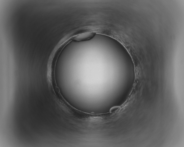 X0000102520150200808151540