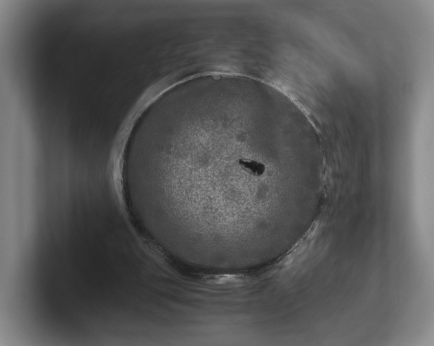 X0000102520151200808151540