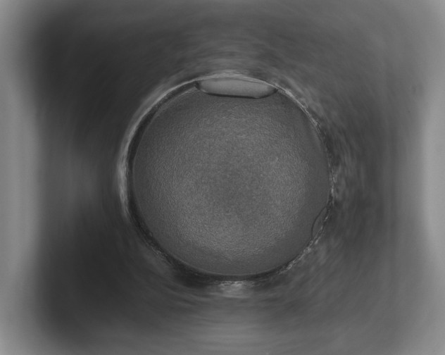 X0000102520152200808151540