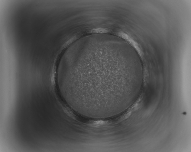 X0000102520153200808151540