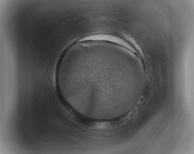 X0000102520154200808151540