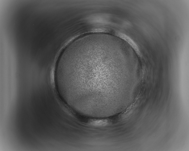 X0000102520155200808151540