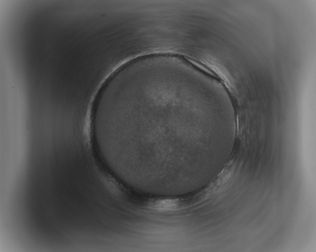 X0000102520156200808151540