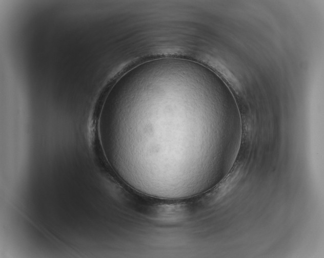 X0000102520160200808151540