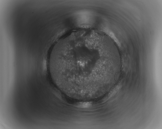 X0000102520161200808151540