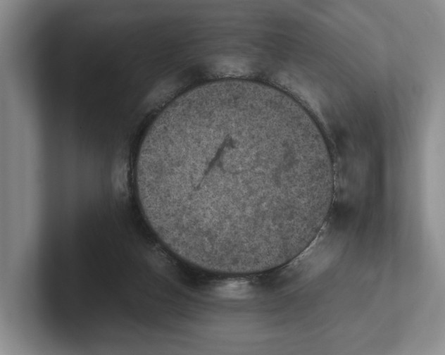 X0000102520162200808151541