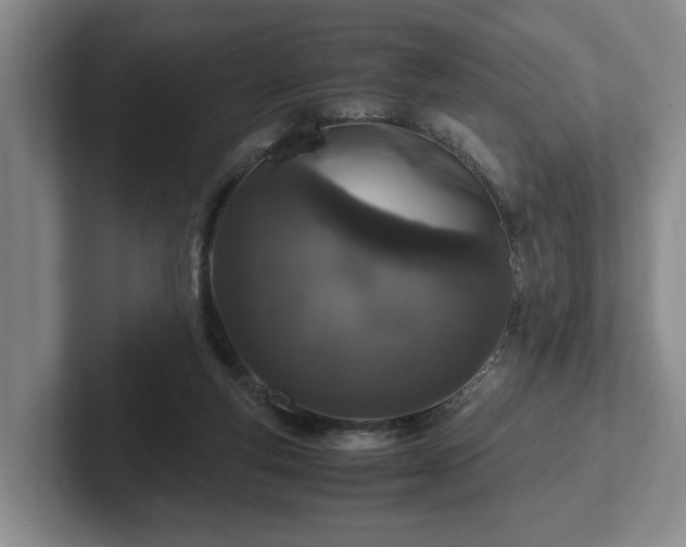 X0000102520163200808151541