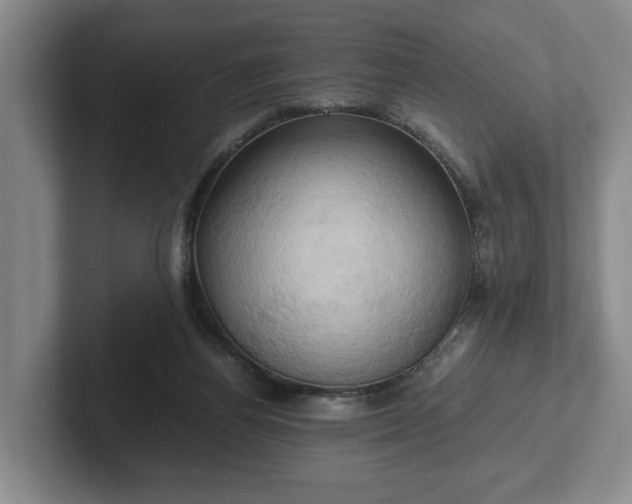 X0000102520164200808151541