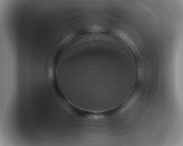 X0000102520165200808151541