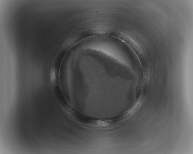 X0000102520166200808151541