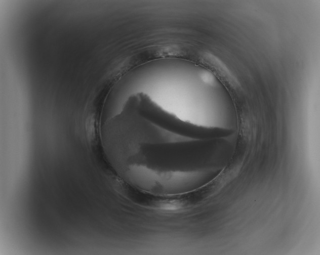 X0000102520169200808151541