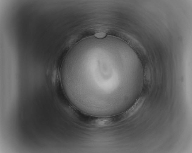 X0000102520172200808151541