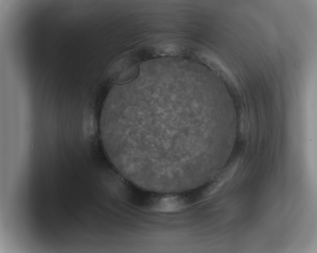 X0000102520173200808151541