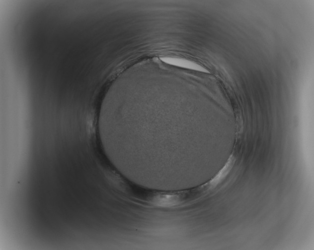 X0000102520174200808151541