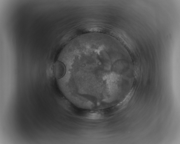 X0000102520175200808151541