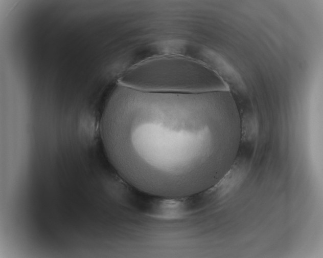 X0000102520176200808151541