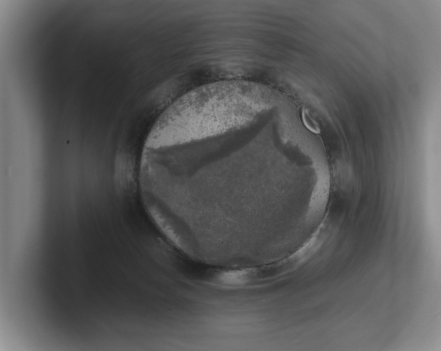 X0000102520178200808151541