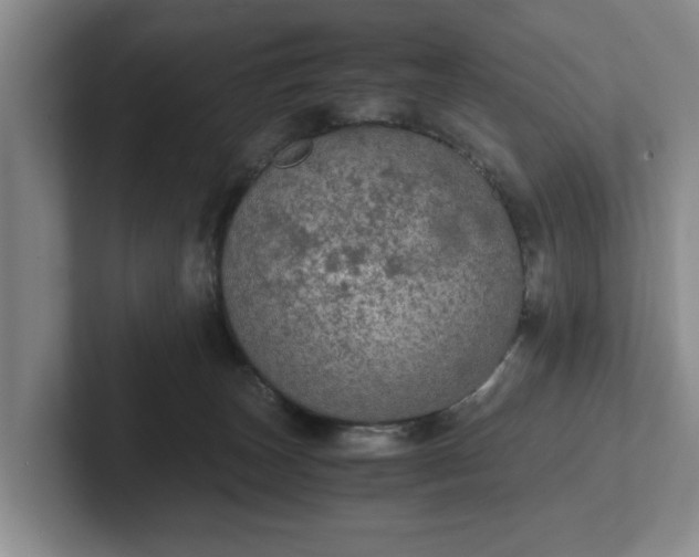 X0000102520179200808151541