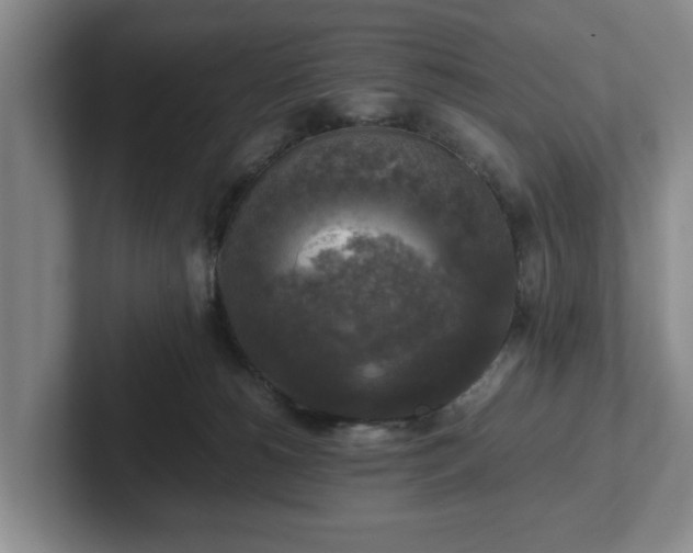 X0000102520180200808151541