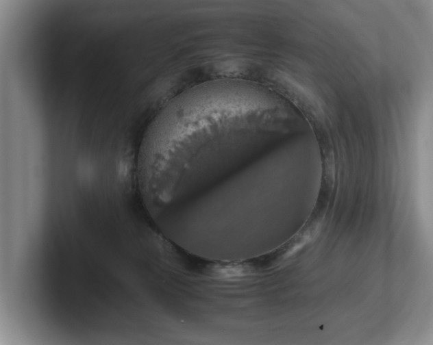 X0000102520181200808151541