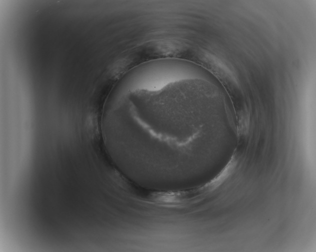 X0000102520182200808151541