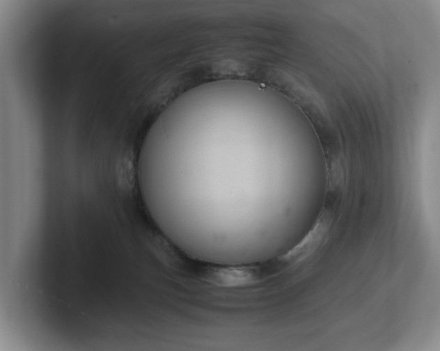 X0000102520183200808151541