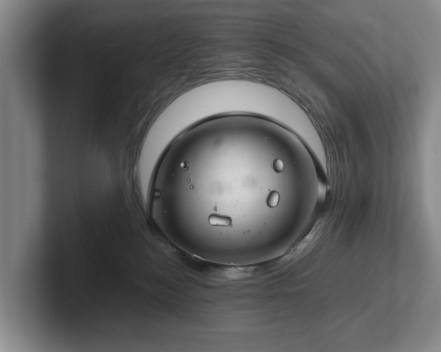 X0000102520184200808151541