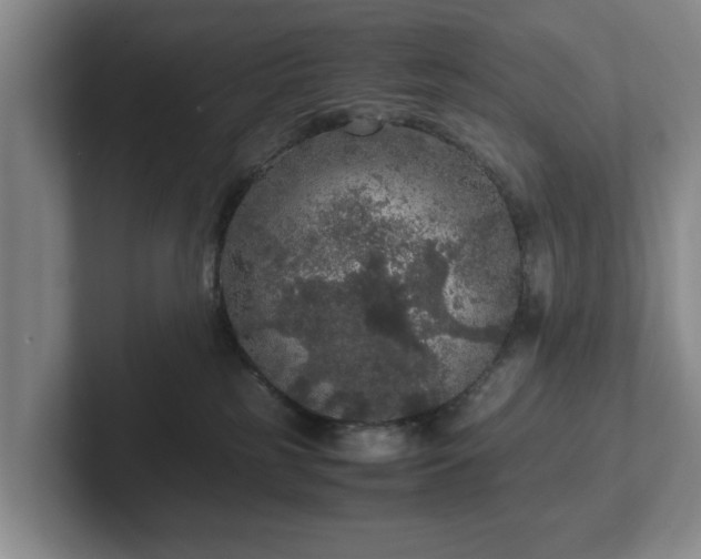 X0000102520185200808151541