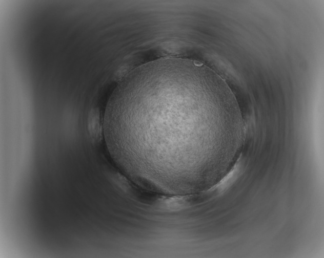 X0000102520186200808151541