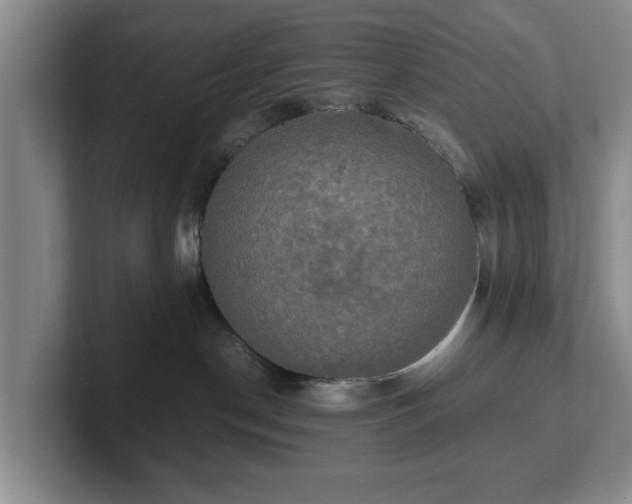 X0000102520190200808151541