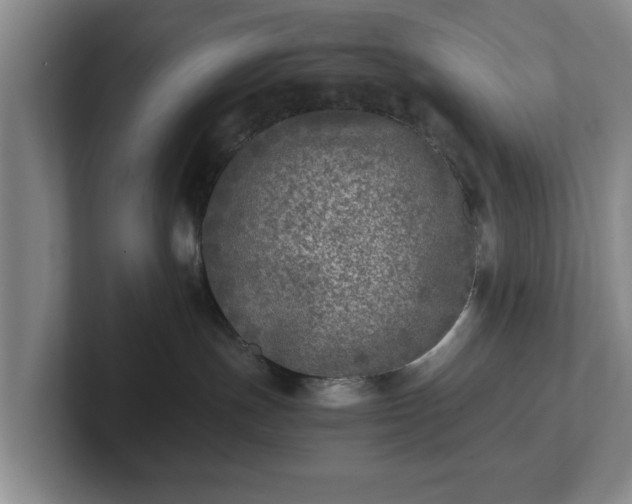 X0000102520191200808151541