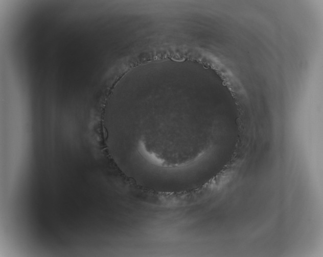 X0000102520192200808151541