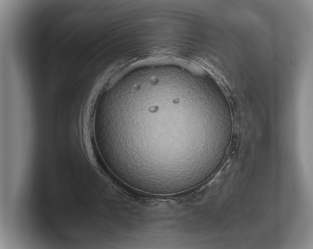 X0000102520193200808151540