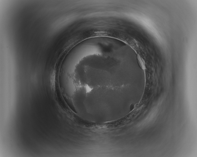 X0000102520194200808151540