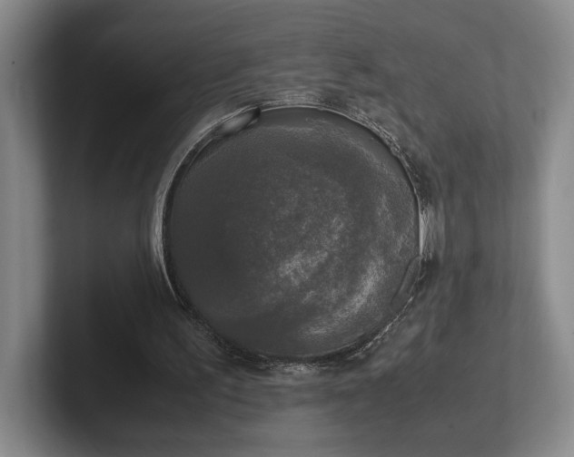 X0000102520195200808151540