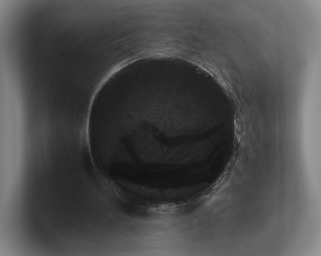 X0000102520196200808151540