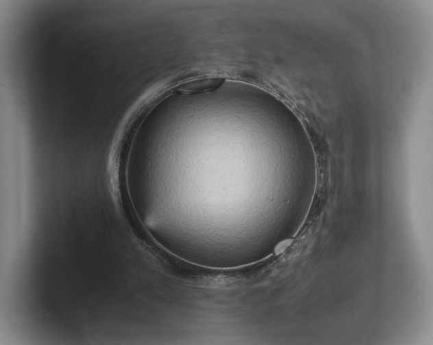 X0000102520197200808151540