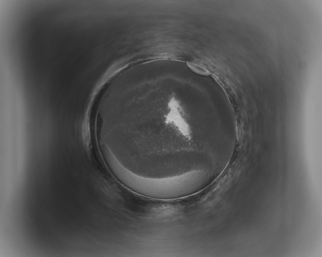 X0000102520198200808151540