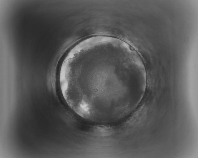 X0000102520199200808151540