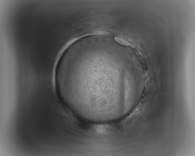 X0000102520200200808151540