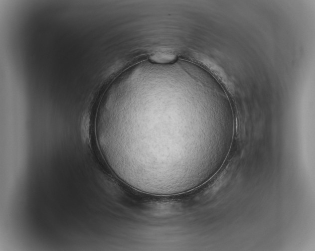 X0000102520201200808151540