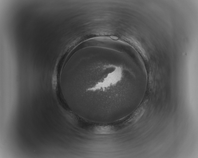 X0000102520202200808151540