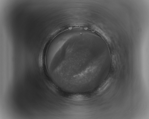 X0000102520203200808151540