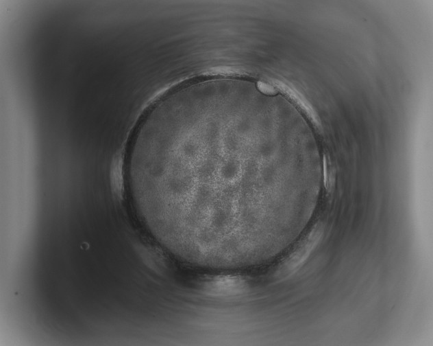 X0000102520204200808151540