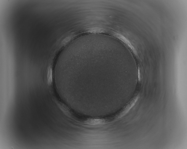 X0000102520205200808151540