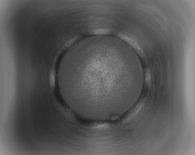 X0000102520206200808151540