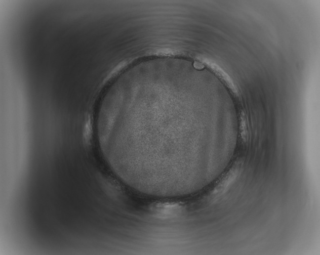 X0000102520208200808151540