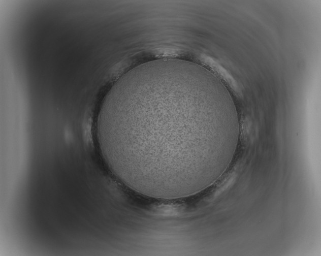 X0000102520209200808151540